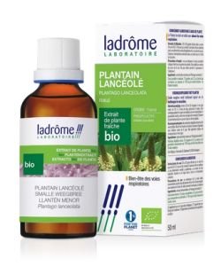 Plantain - fresh organic plant extract BIO, 100 ml